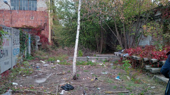 img_20160927_080026_hdr