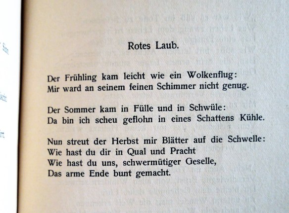 IMG_20190504_1555490 (2)