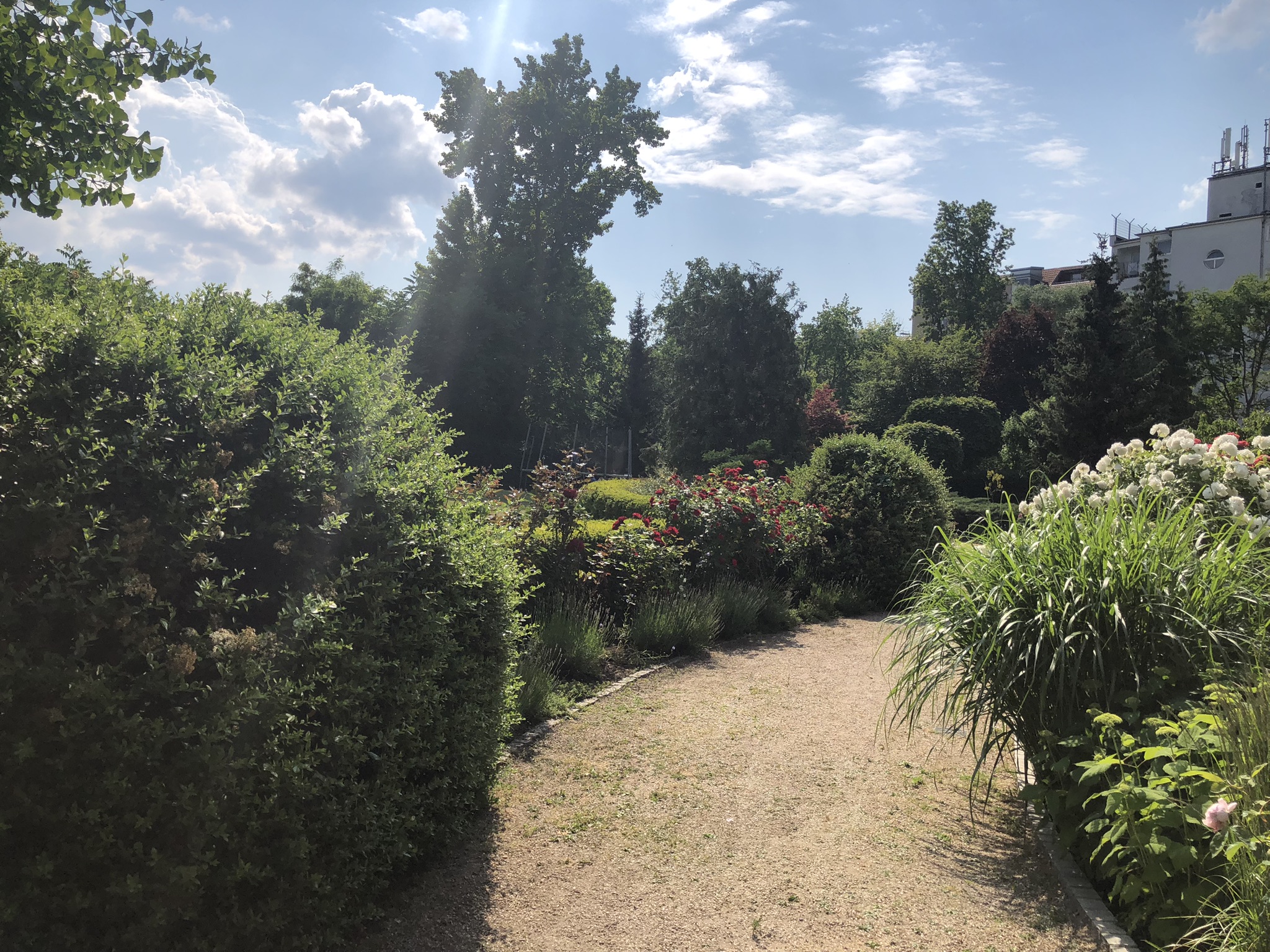 Erinnerung an Hans Rosenthal Rakkoxiana